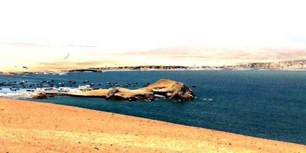 Hotel Gran Palma Paracas Exterior photo